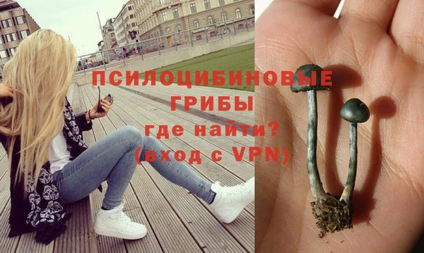 ГАЛЛЮЦИНОГЕННЫЕ ГРИБЫ Бронницы